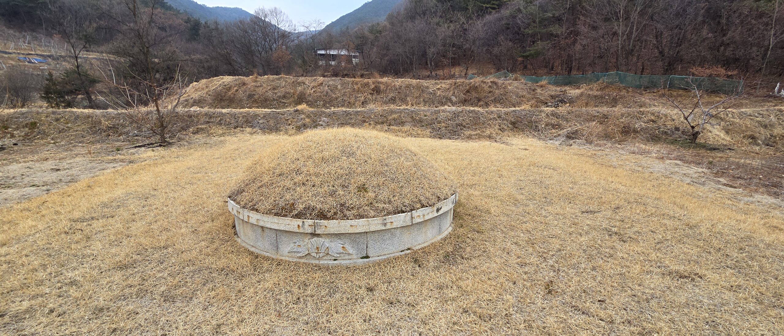 사초 잔디식재 2