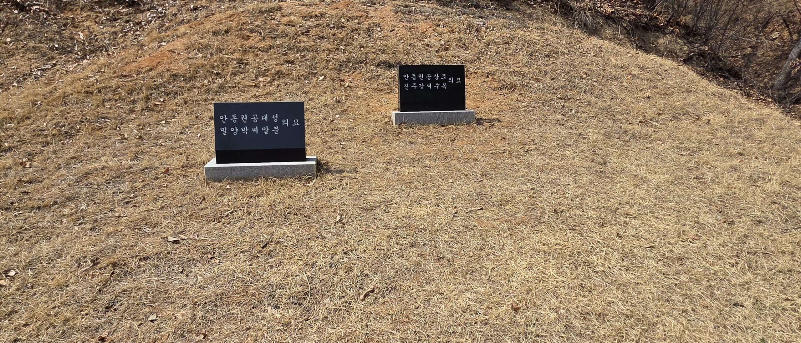 예초 벌초 완료 3